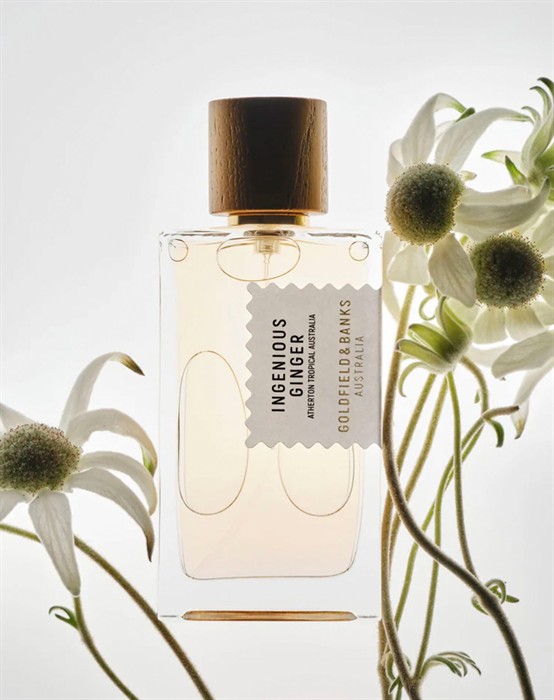 Ingenious Ginger Parfume - 100 ml 